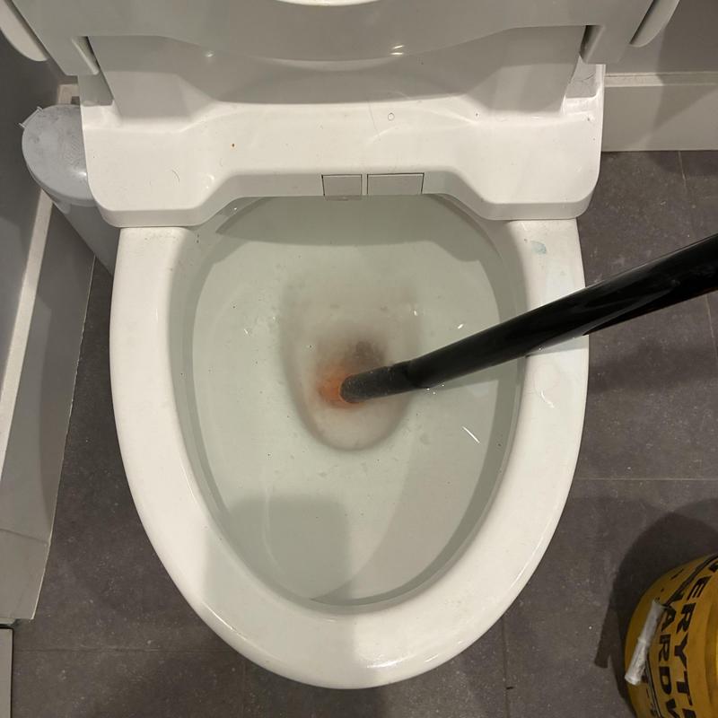 Toilet Drain Cleaning in Cole Valley photo 1