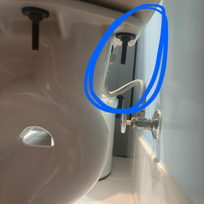 Toilet Replacement in West Portal photo 1