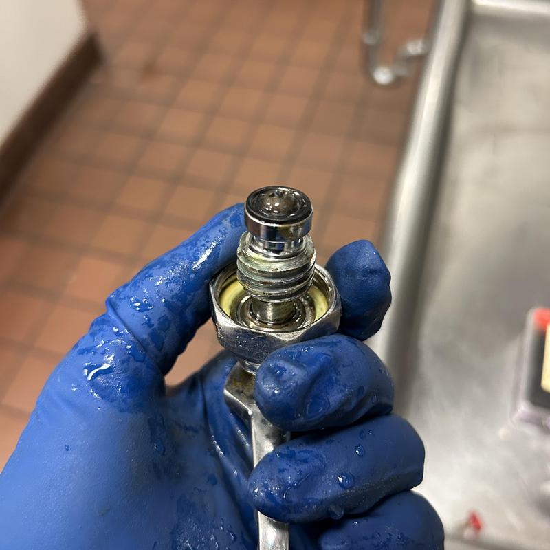 Floor Drain Cleaning and Faucet Repair in Union Square photo 3