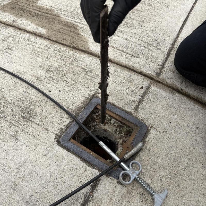 Completed Sewer Services service details