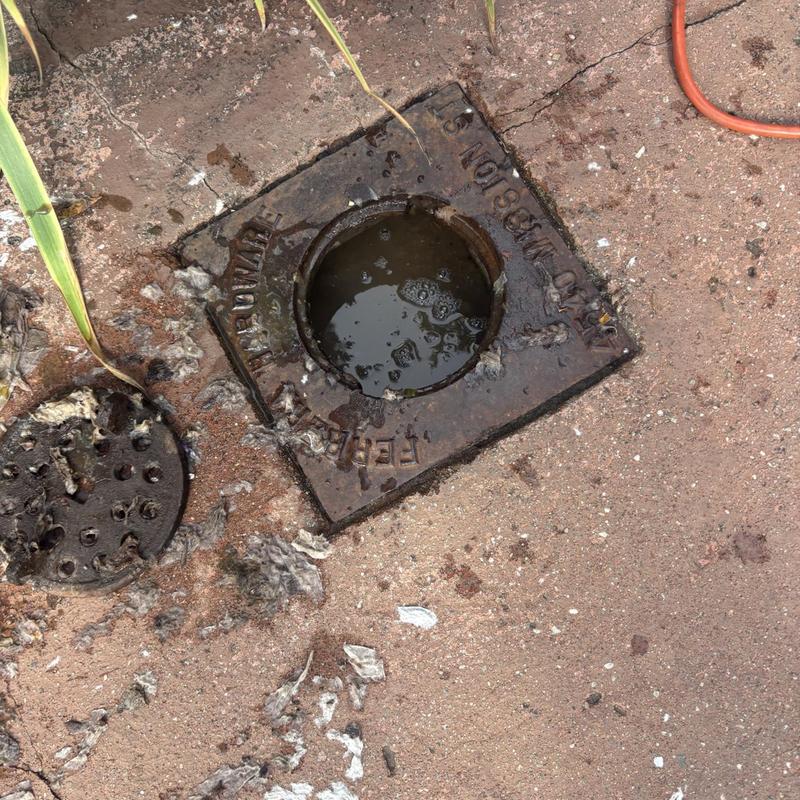 Drain Cleaning in Albuquerque, NM