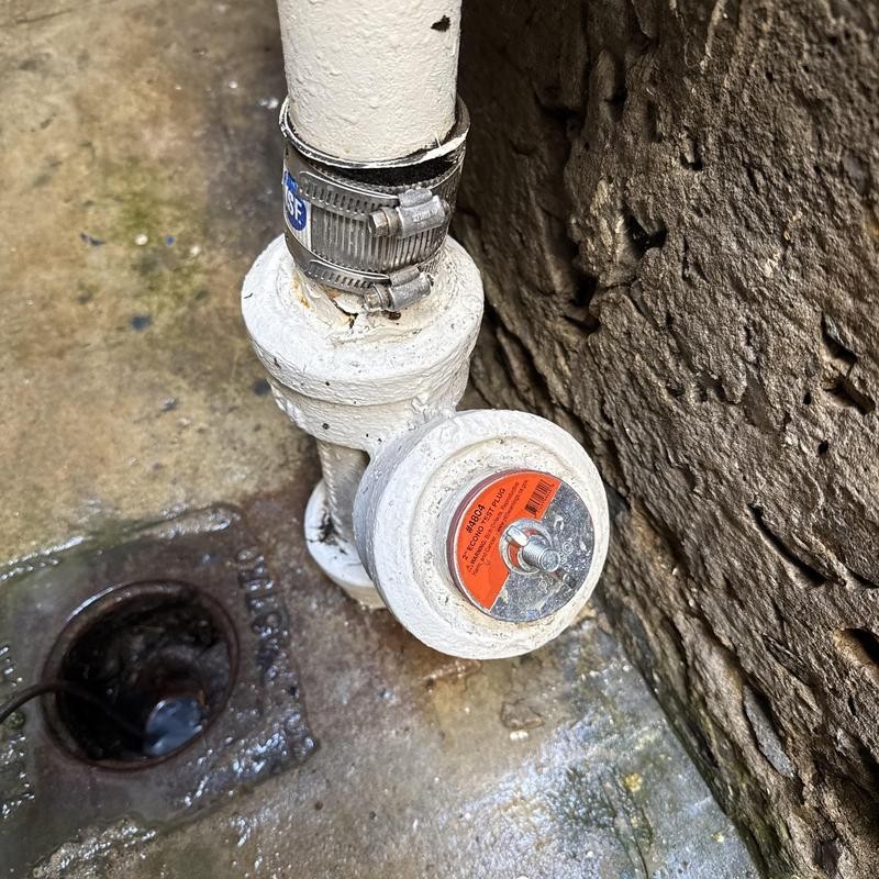 Floor Drain Cleaning in Presidio Heights photo 1