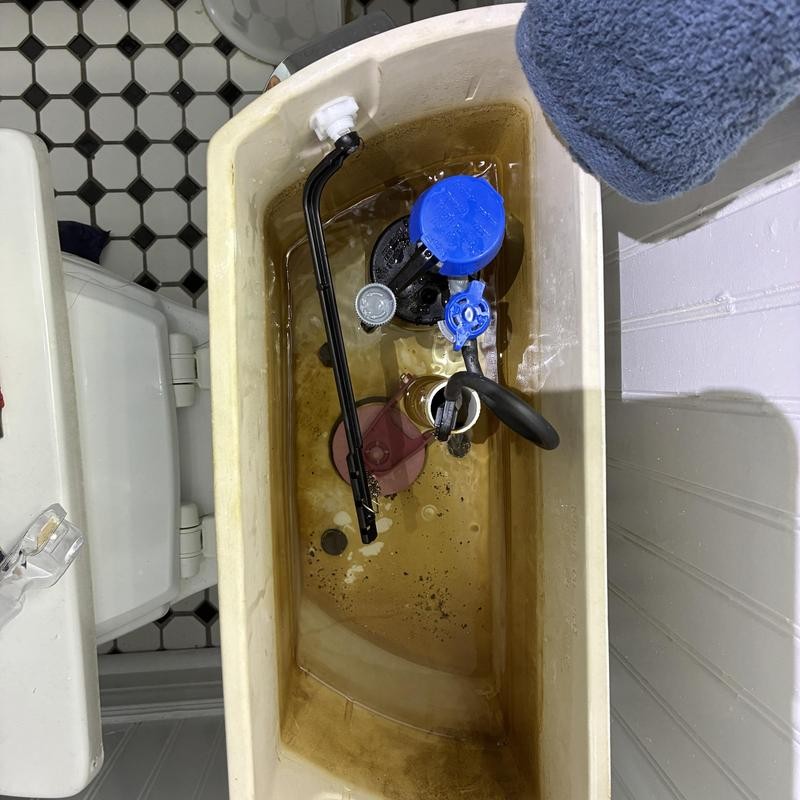 Toilet Repair and Pipe Replacement in Excelsior photo 1