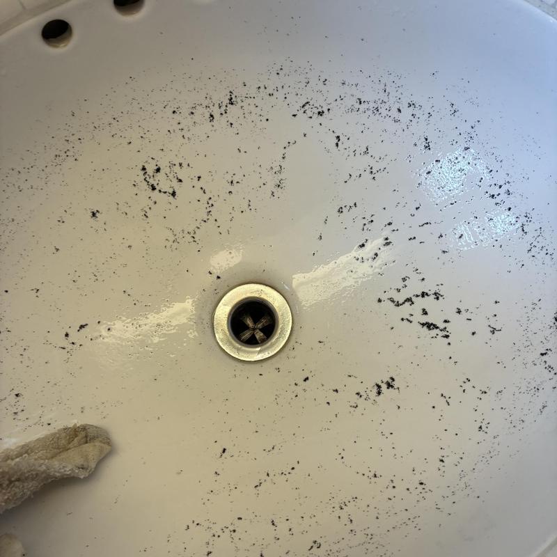Drain Cleaning in Albuquerque, NM