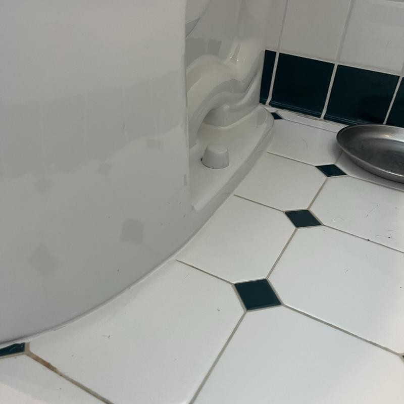 Toilet Installation in Sunset District photo 2