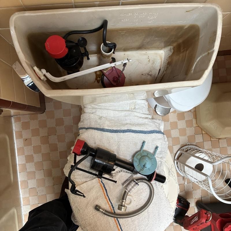 Toilet Repair in Ingleside Terraces photo 1
