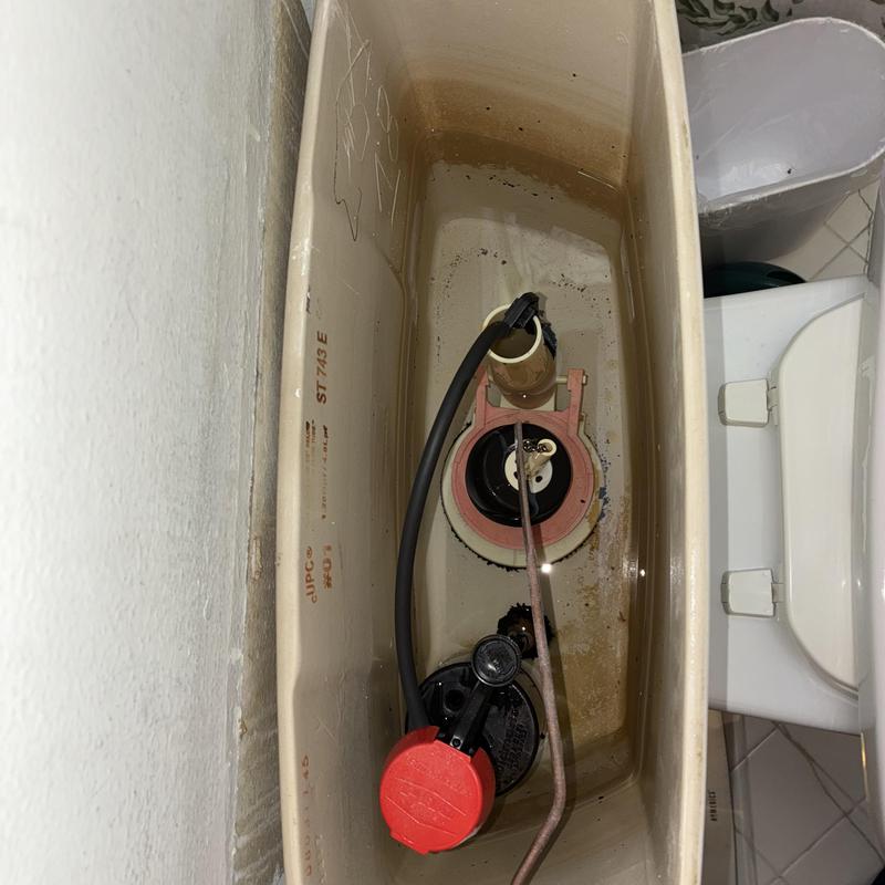 Toilet and Sink Repair in Castro District photo 1