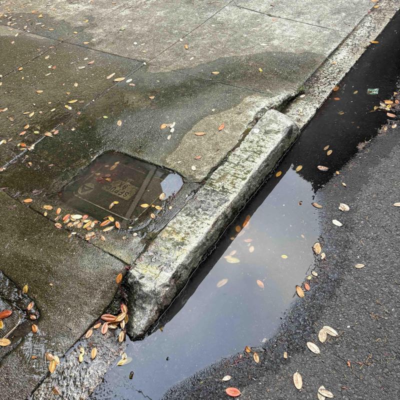 Sewer Line Cleaning in Mission photo 2