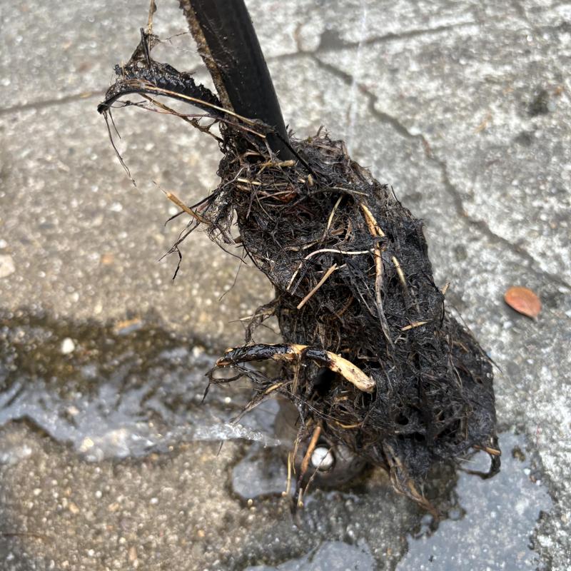 Sewer Line Cleaning in Mission photo 3