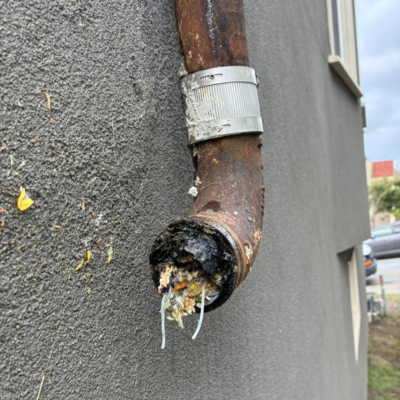 Kitchen Sink Drain Cleaning in Mount Davidson Manor photo 3
