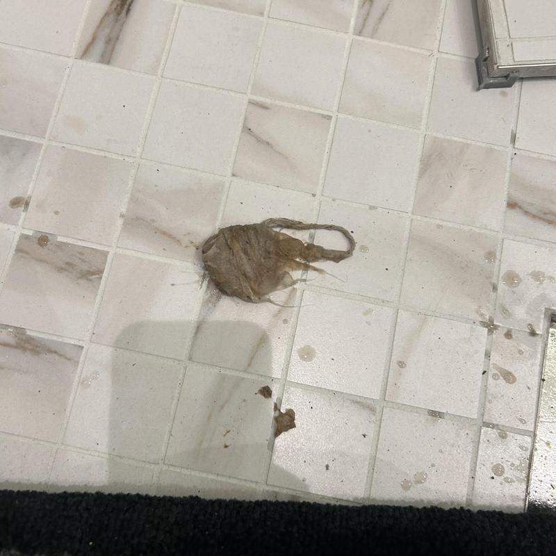 Bathroom Drain Cleaning in Duboce Triangle photo 2