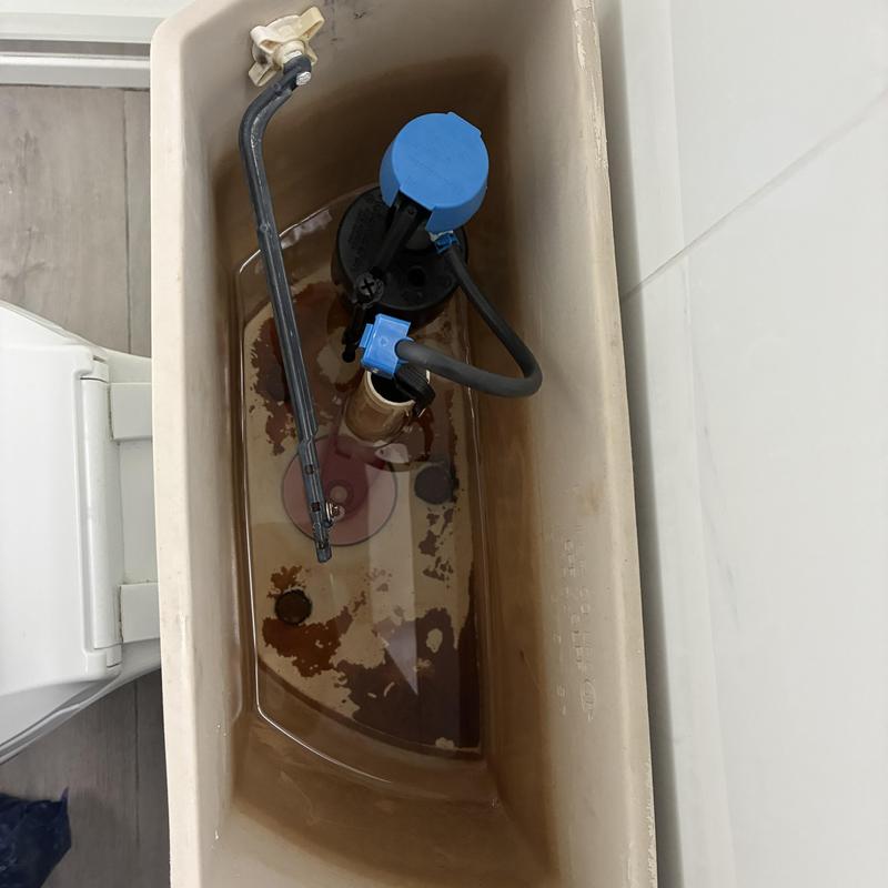 Plumbing Repairs in Cole Valley photo 2