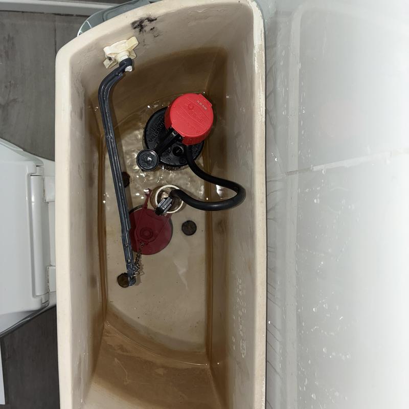 Plumbing Repairs in Cole Valley photo 3