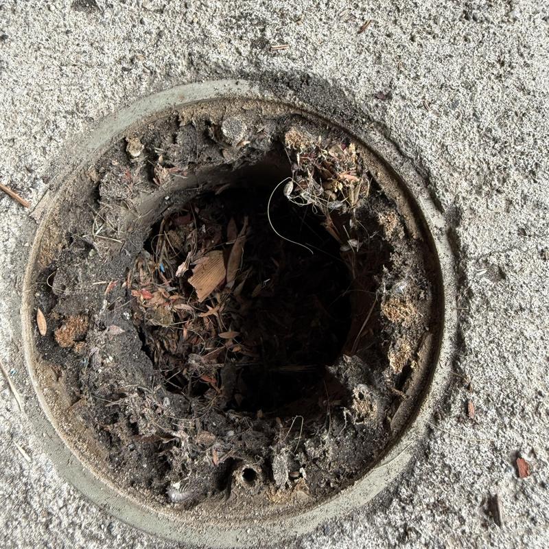 Sewer Line Repair in San Mateo, CA
