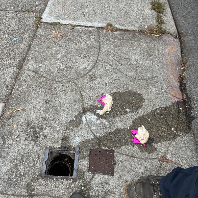 Technician inspecting cleanout and plumbing pipes in San Francisco