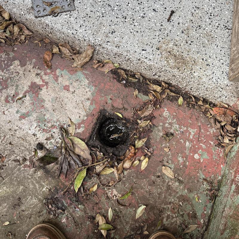 Drain Cleaning in San Francisco, CA