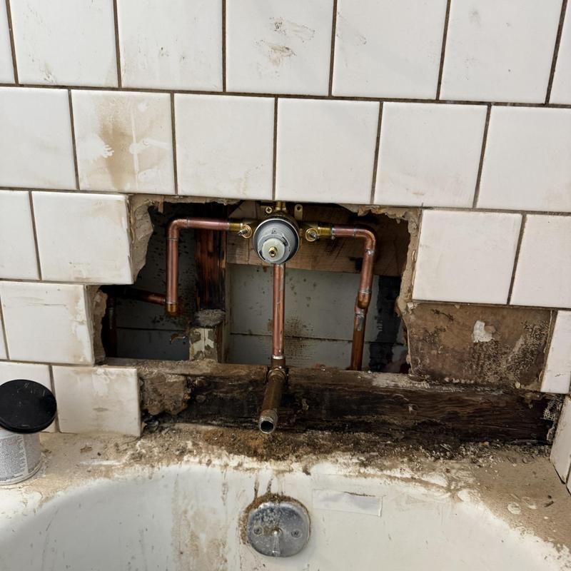 Shower Valve and Garbage Disposal Repair in Mission photo 2