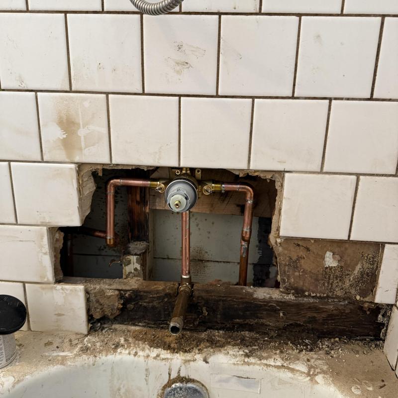 Shower Valve and Garbage Disposal Repair in Mission photo 3