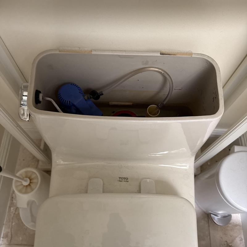 Sewer Line Jetting and Drain Cleaning in Mission photo 1