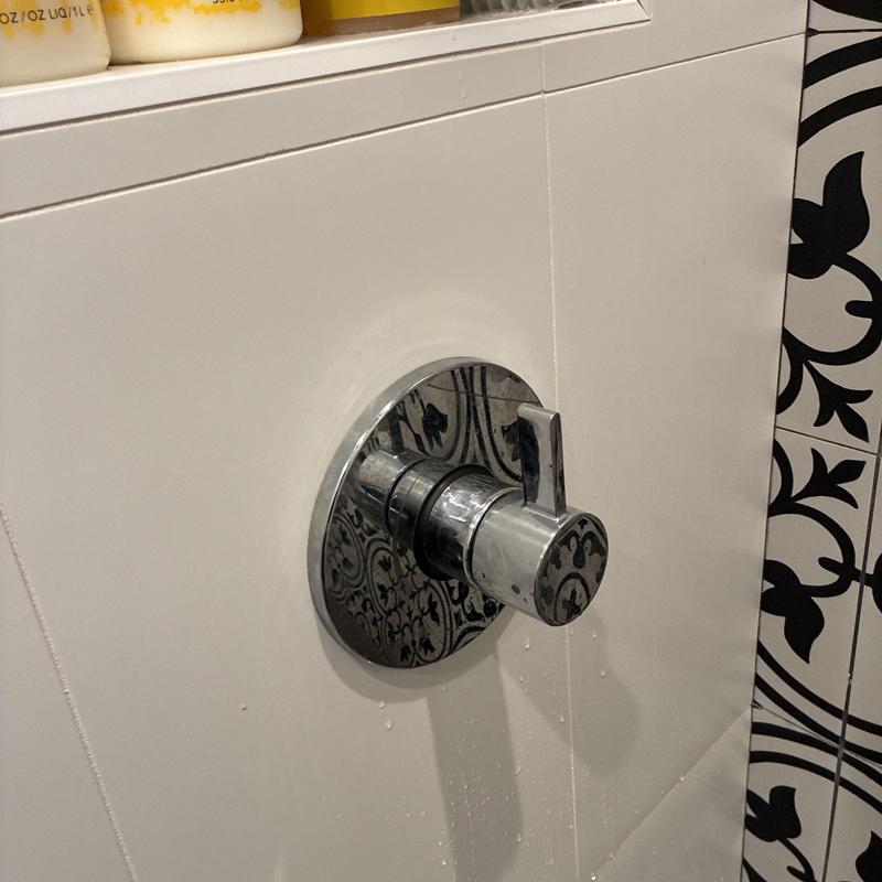 Shower Faucet Repair in Excelsior photo 2