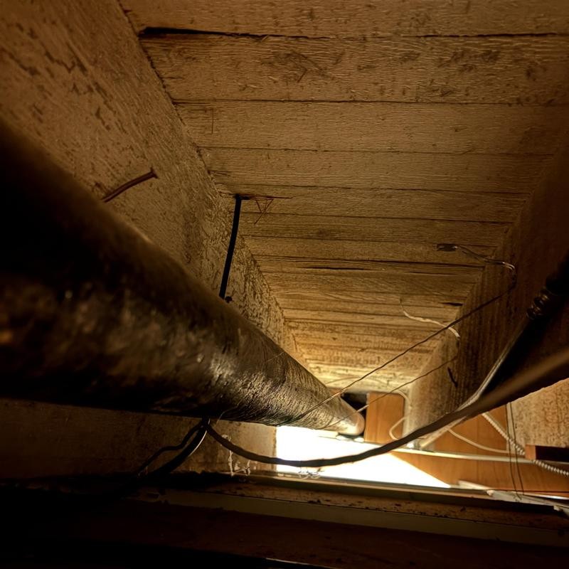 Sewer Line Replacement in Mission District photo 1