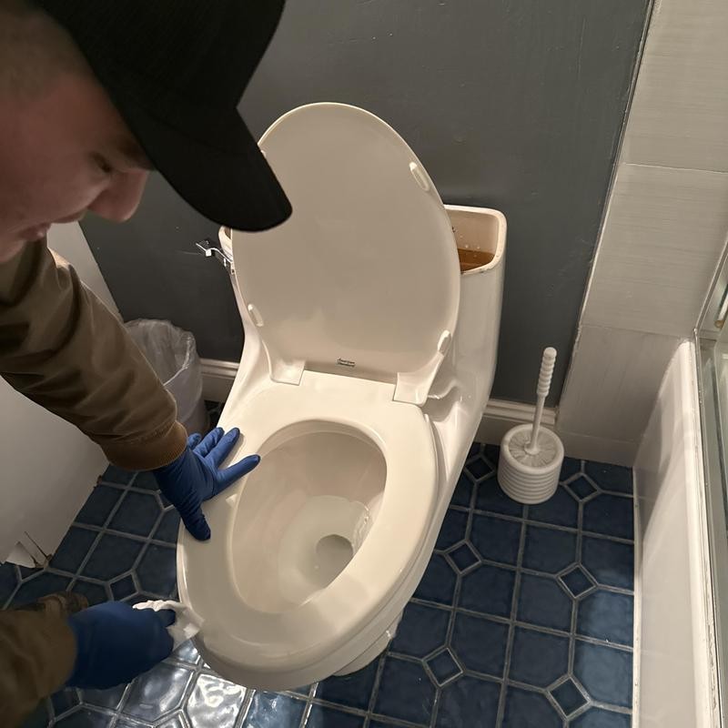 Toilet Repair in Excelsior photo 1