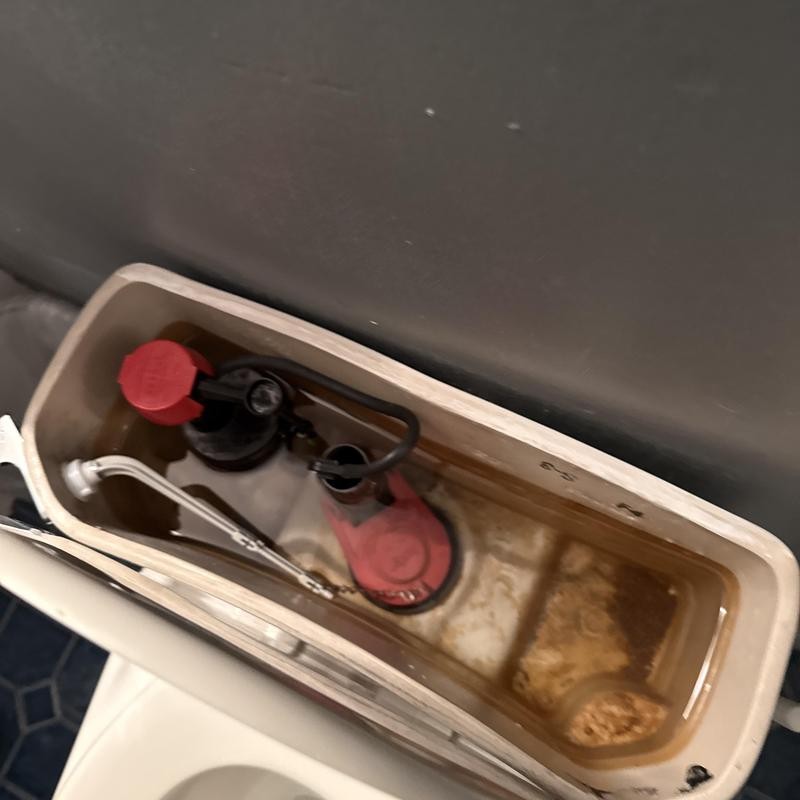Toilet Repair in Excelsior photo 2