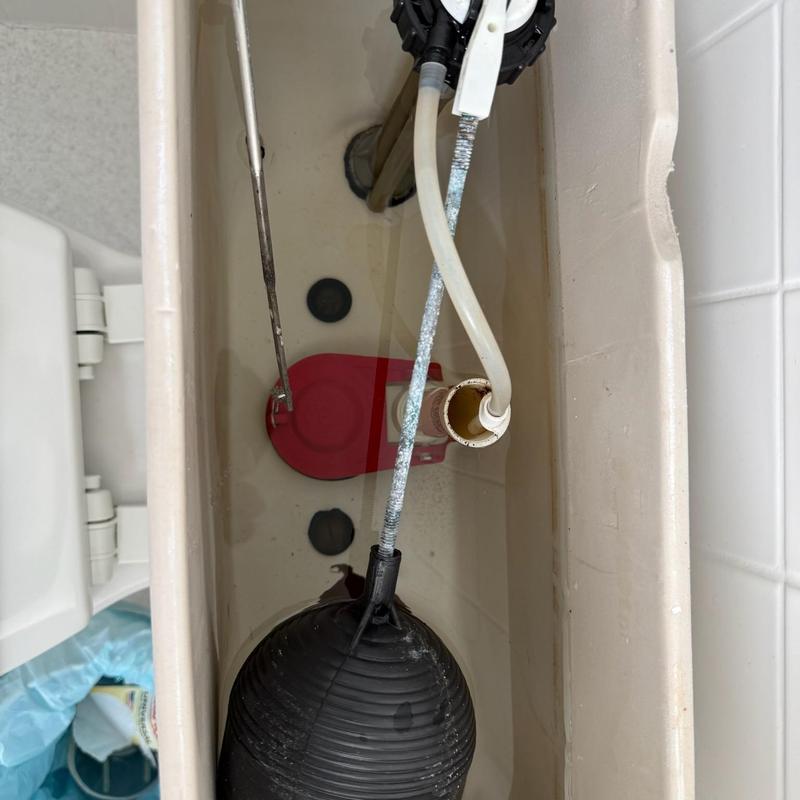 Toilet Repair in Excelsior photo 1