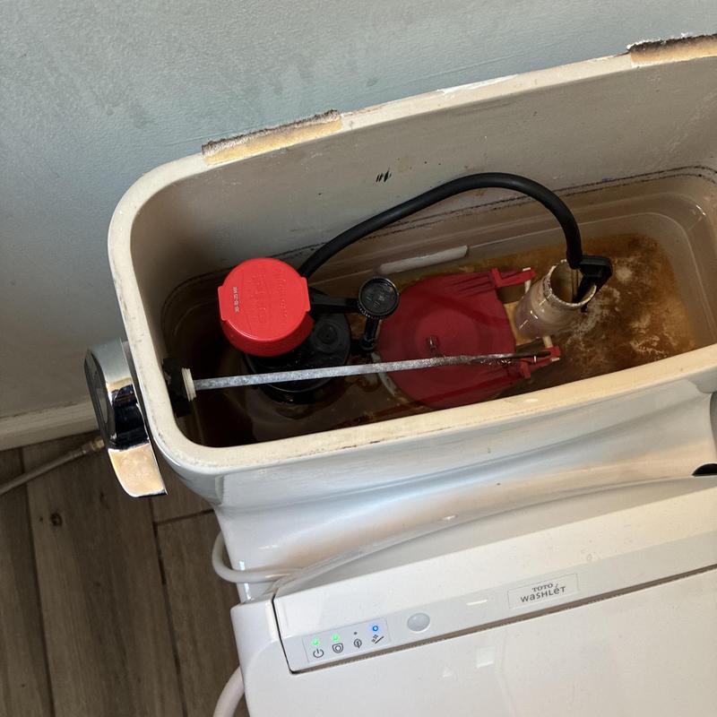 Toilet Repair and Valve Replacement in Excelsior photo 3