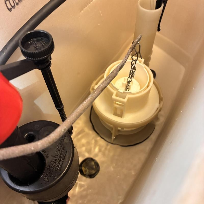 Toilet Repair in Western Addition photo 3