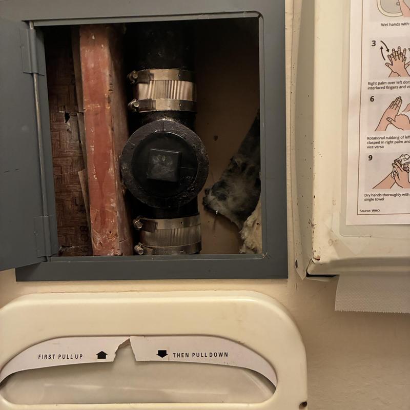 Sewer Services in San Francisco, CA
