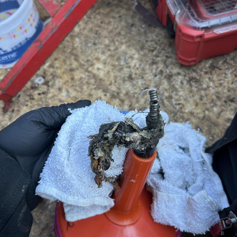 Drain Cleaning in South San Francisco, CA photo 2