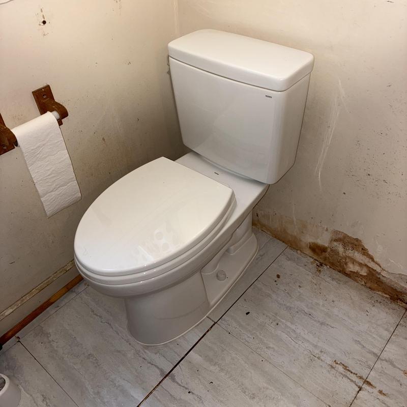 Toilet Replacement in Bayview District photo 1