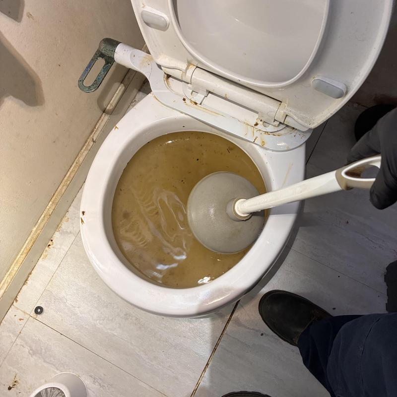 Toilet Replacement in Bayview District photo 2