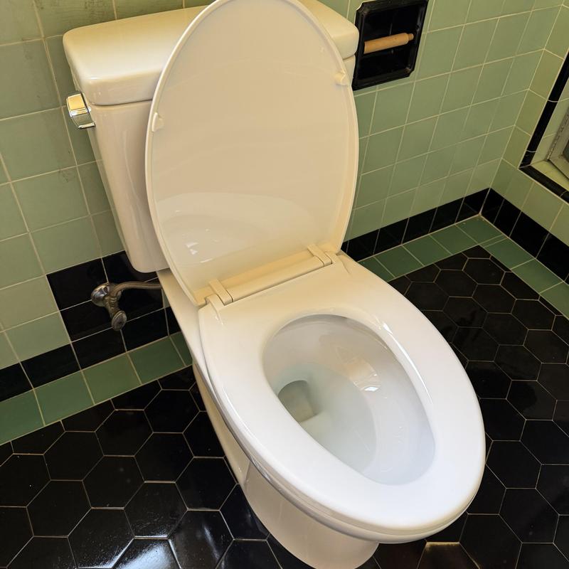 Toilet Installation in Excelsior photo 1
