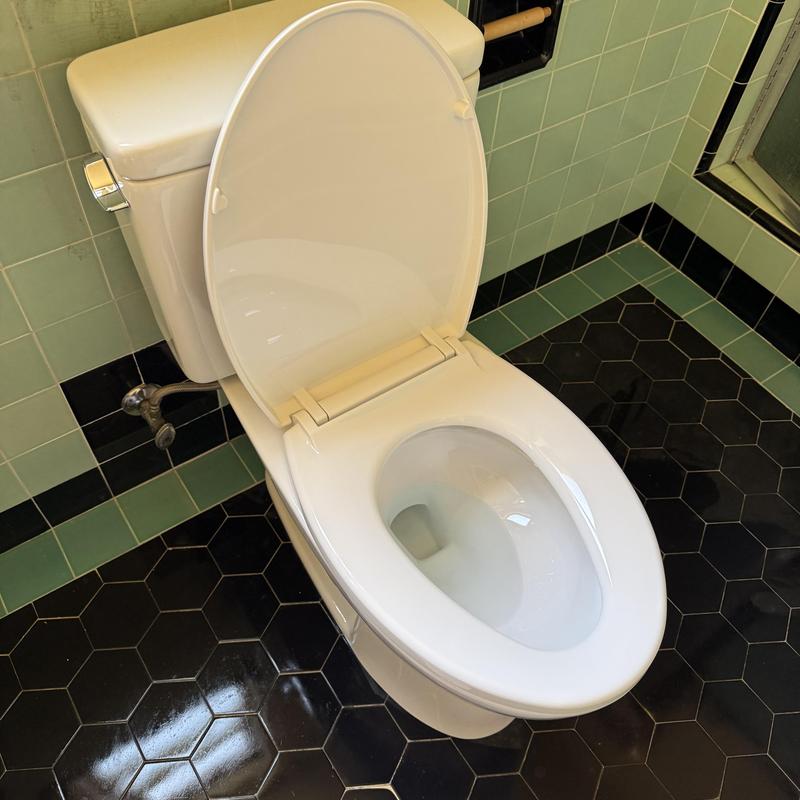 Toilet Installation in Excelsior photo 2
