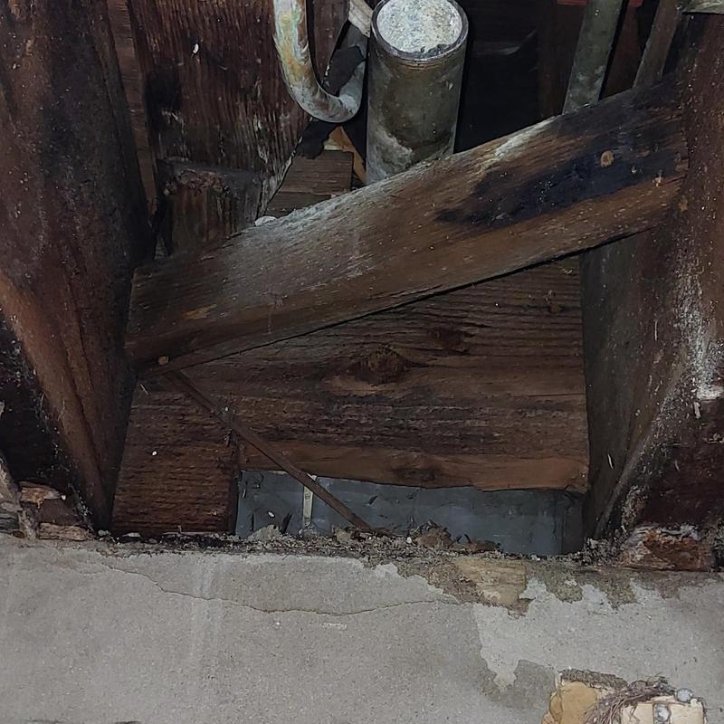 Drain Cleaning in San Francisco photo 5