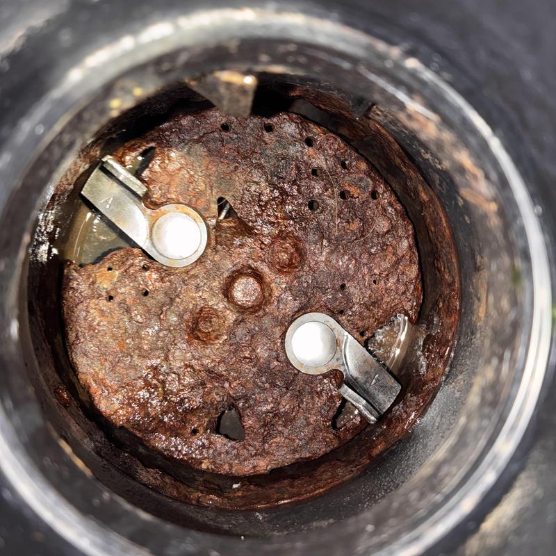 Garbage Disposal Replacement and Shower Head Cleaning in Haight-Ashbury photo 1