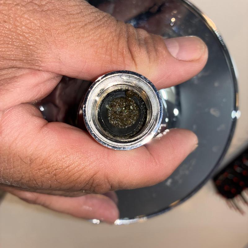 Garbage Disposal Replacement and Shower Head Cleaning in Haight-Ashbury photo 3