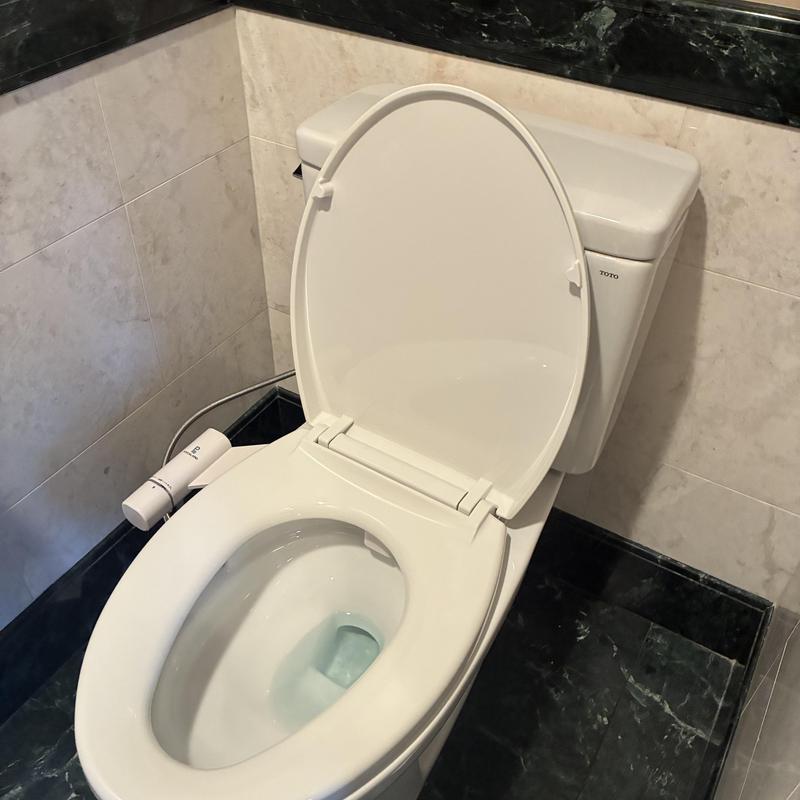 Toilet Replacement in Mission photo 1