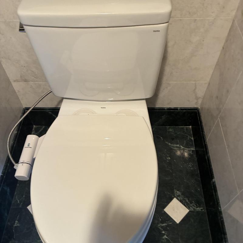 Toilet Replacement in Mission photo 2