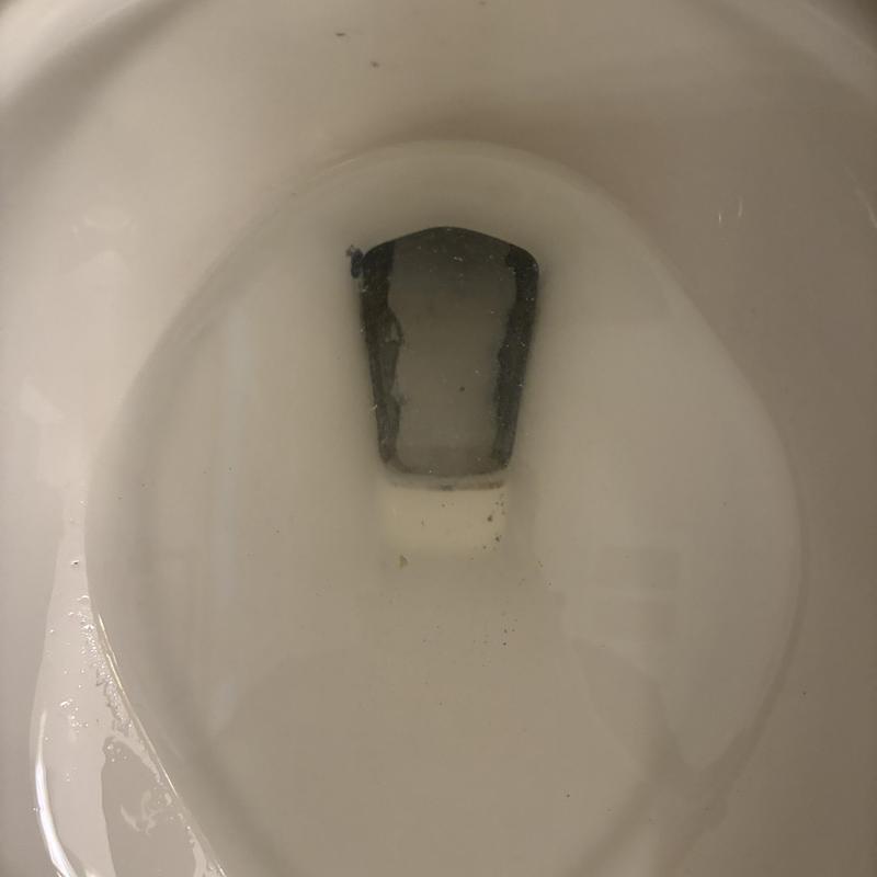 Toilet Repair in Haight-Ashbury photo 1