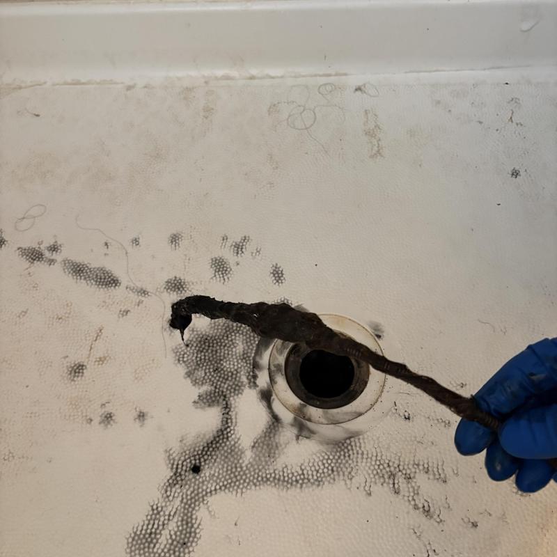 Drain Cleaning in Cole Valley photo 1