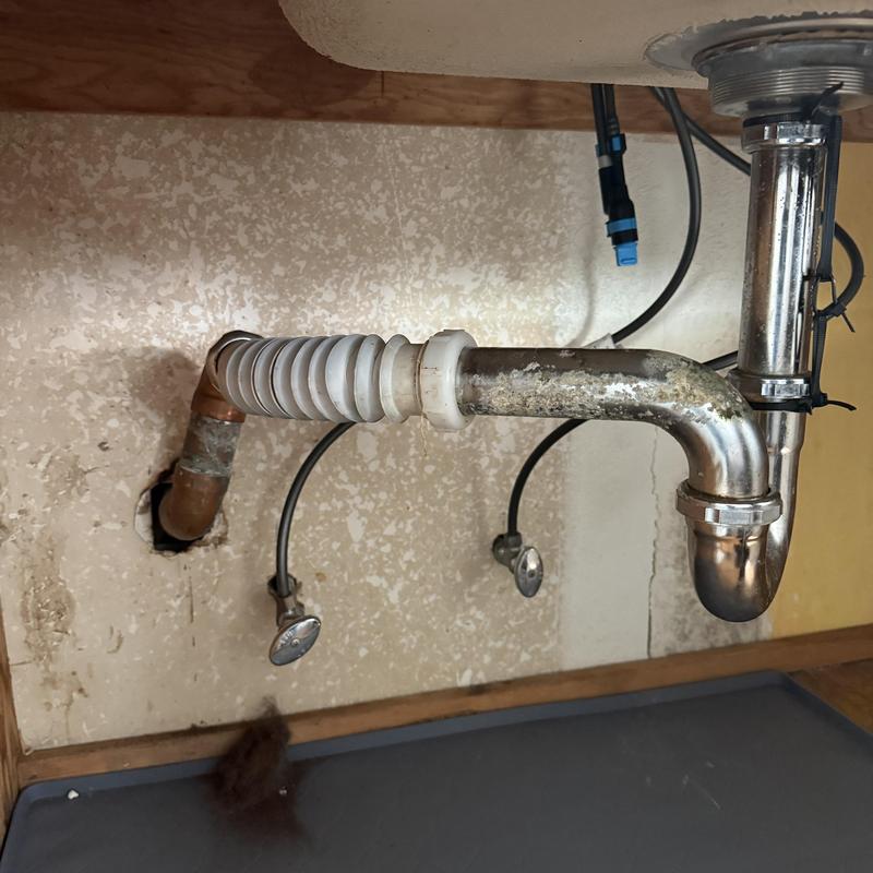 Drain Cleaning and Leak Repair in Presidio Terrace photo 2