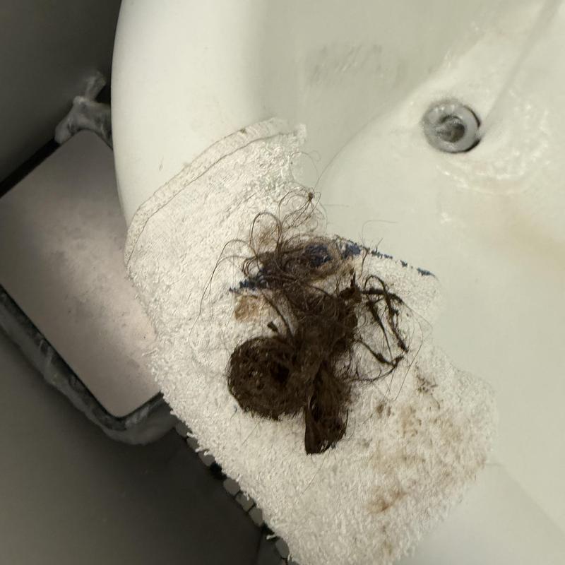 Drain Cleaning in Cow Hollow photo 3