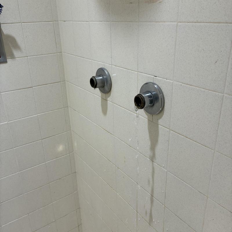 Drain Cleaning and Faucet Repair in Excelsior photo 2