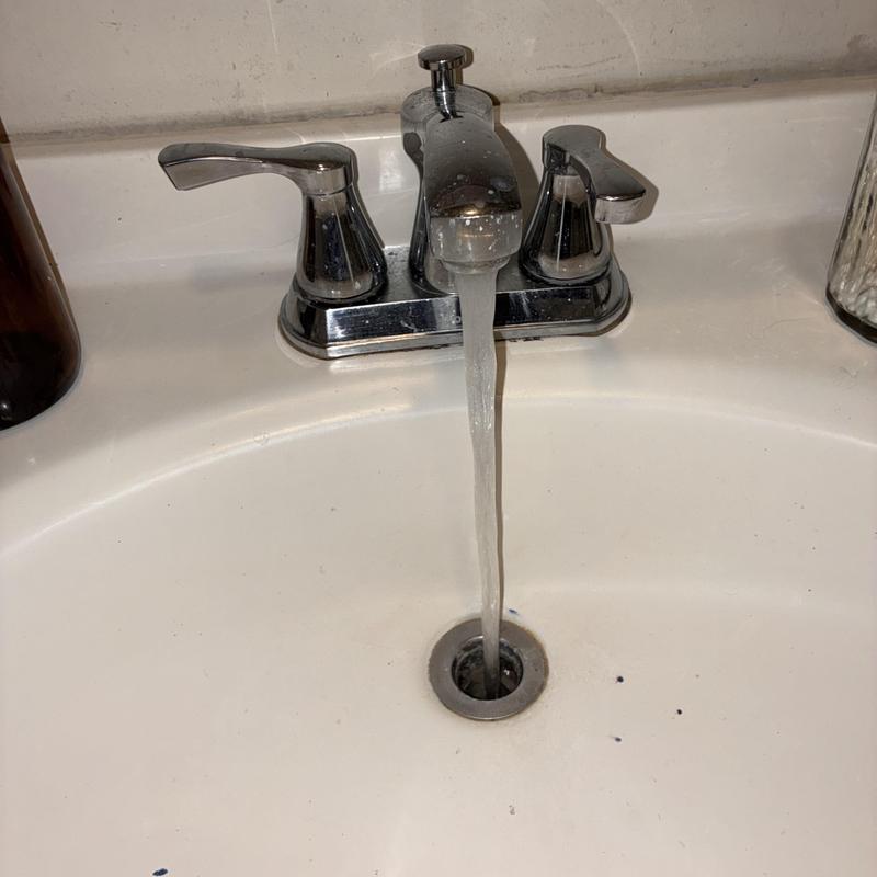 Completed Drain Cleaning service details