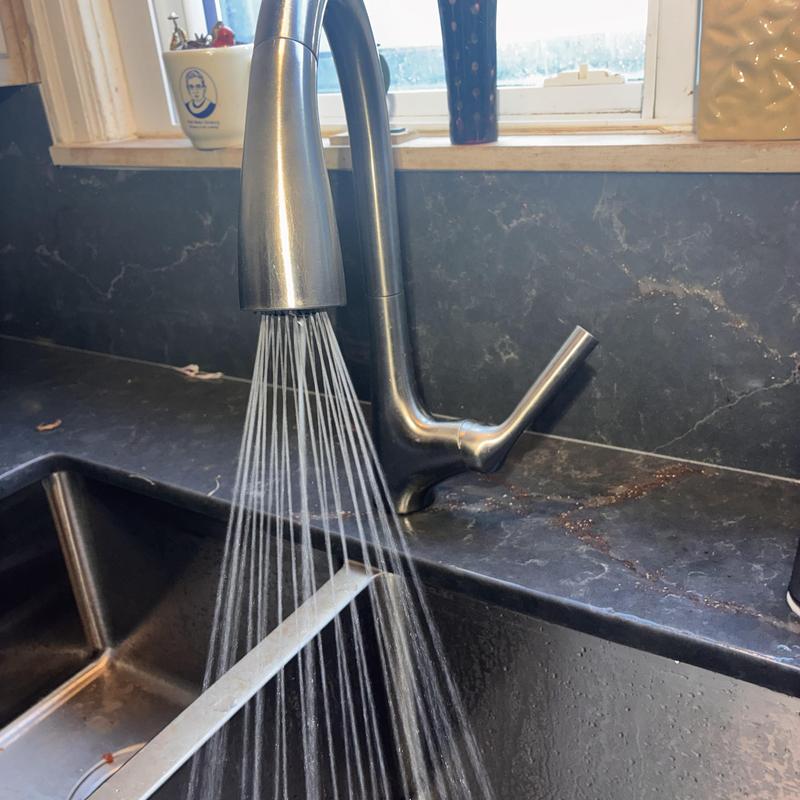 Kitchen Faucet Repair in Excelsior photo 2