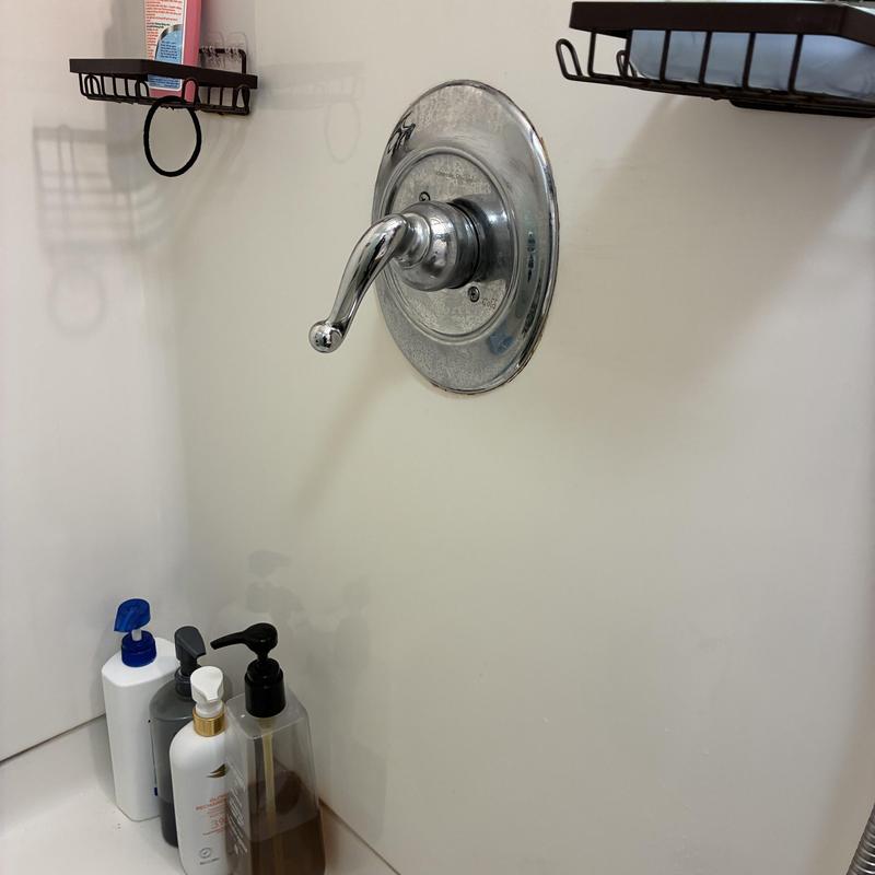 Shower Valve Replacement in Panhandle photo 1