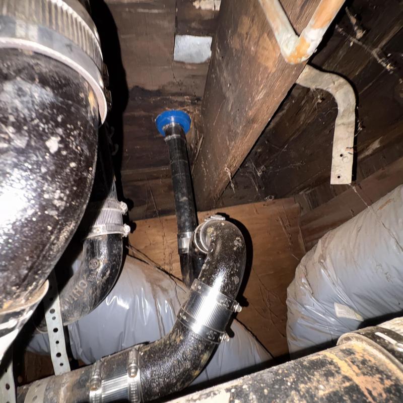 Sewer Line Cleaning in Bayview District photo 3